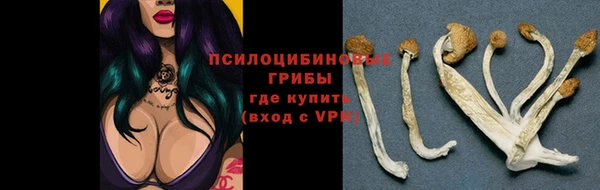 мдпв Гусиноозёрск