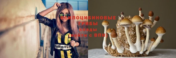 мдпв Гусиноозёрск