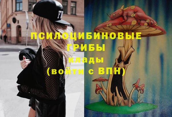 COCAINE Гусь-Хрустальный