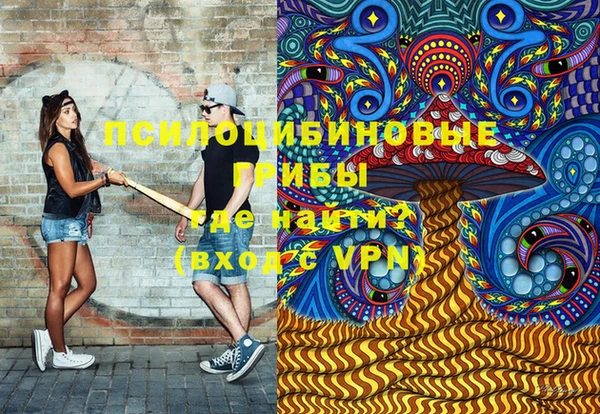 Альфа ПВП Гусев