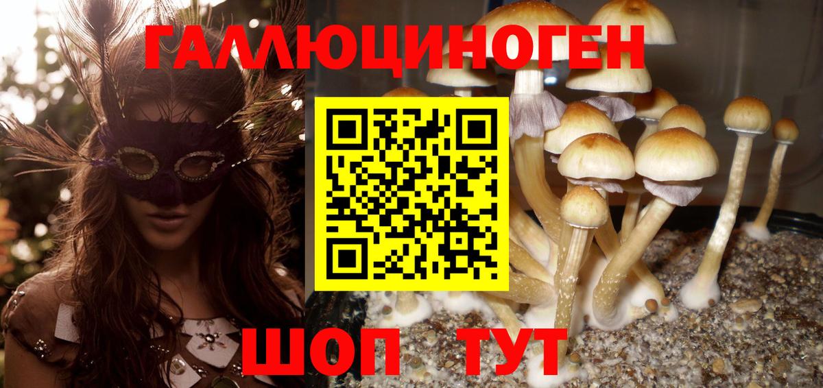 МДМА Донской