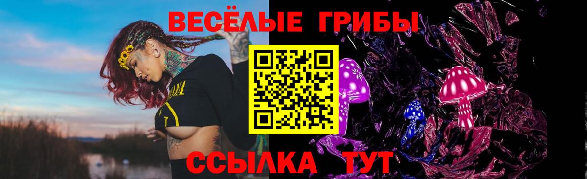 Псилоцибиновые грибы мухоморы Донской